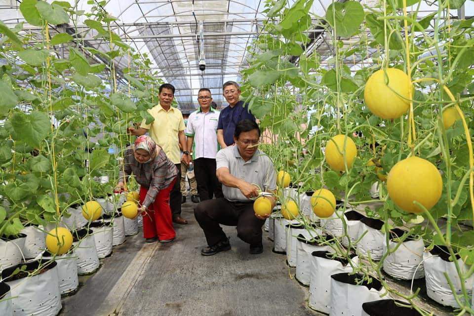 Belia Sarawak digalakkan ceburi bidang pengeluaran makanan ...